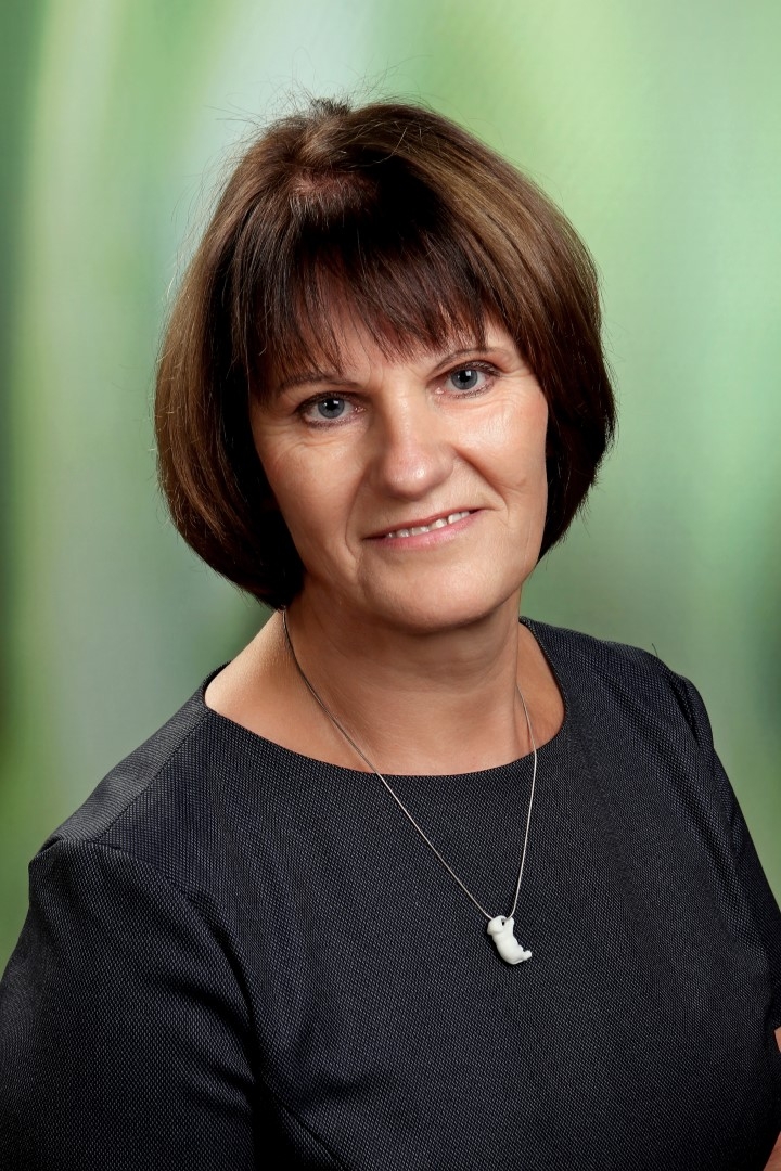 pasniedzejs-Inese_Sica